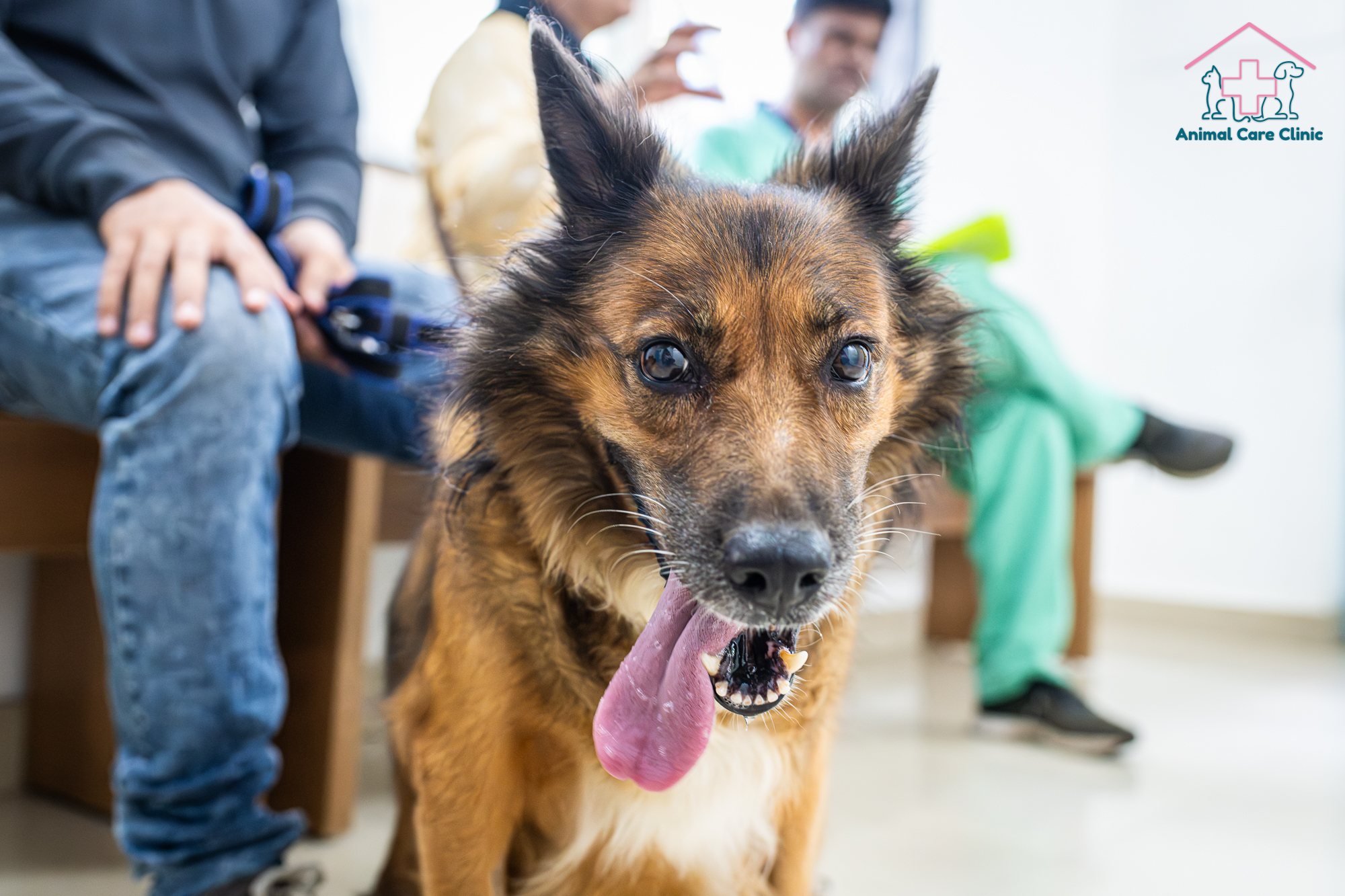 _DSC2163-Enhanced-NR