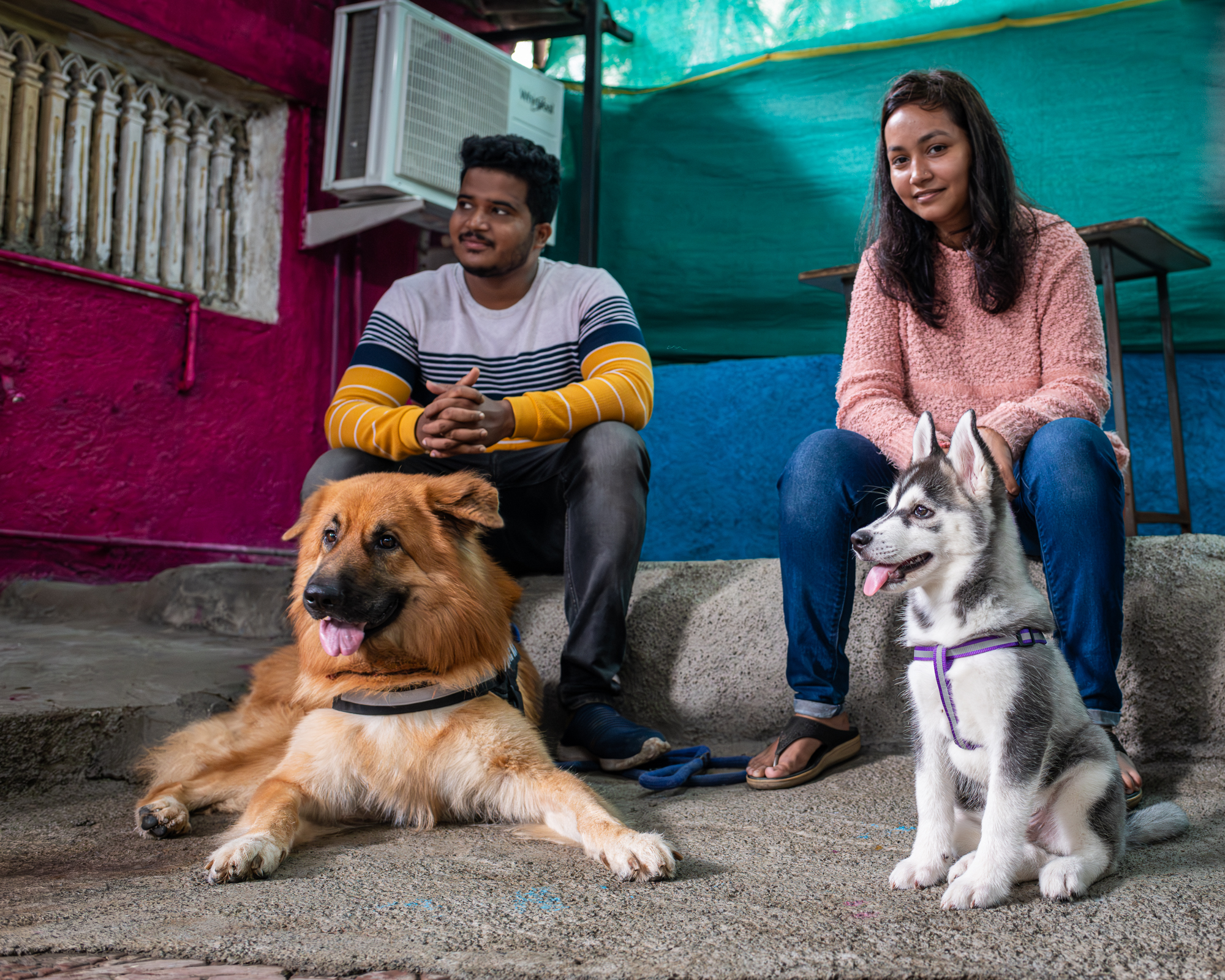 _DSC3798-Enhanced-NR