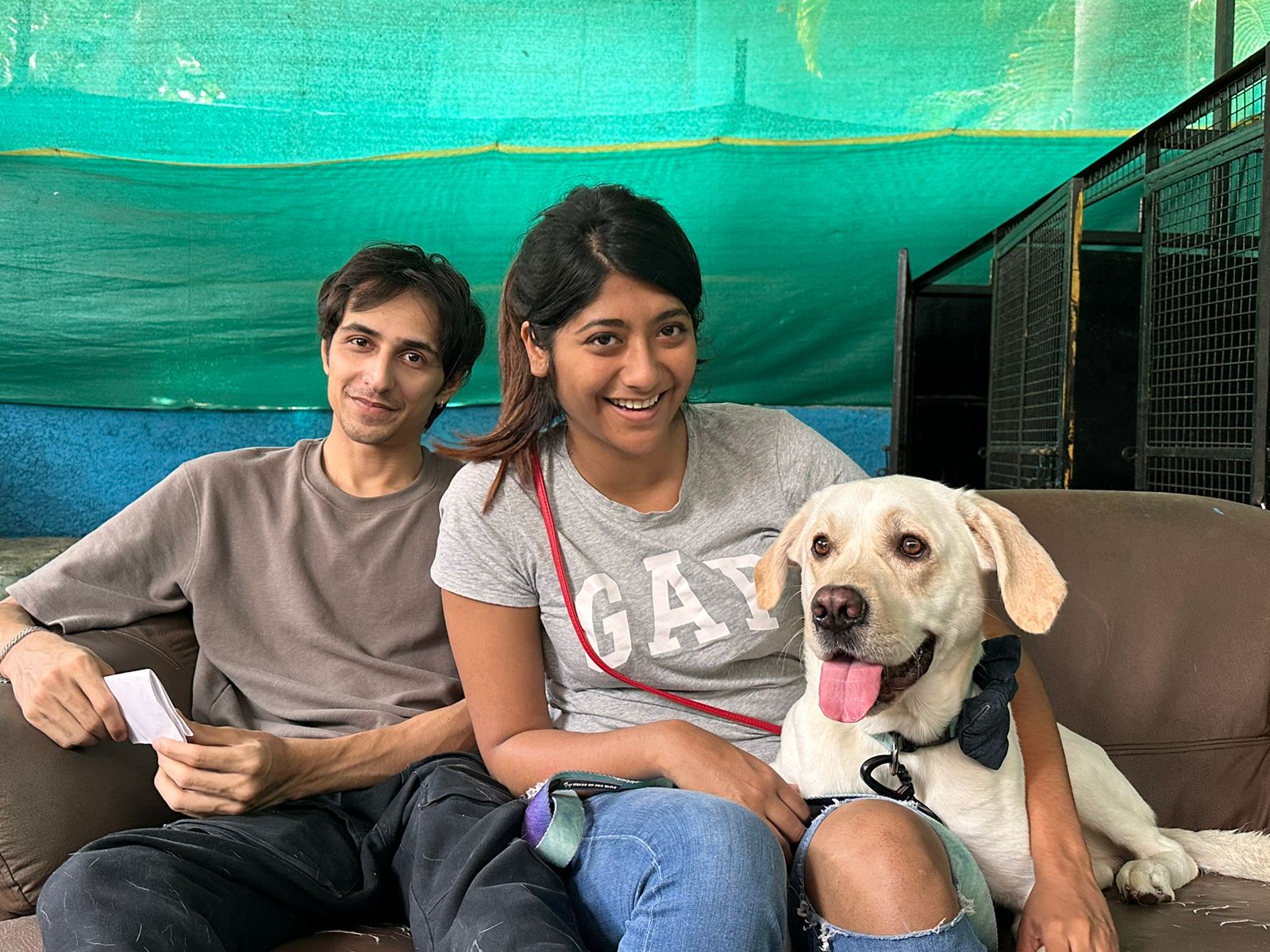 d2f86177-00aa-4770-a337-699a5faadd2b